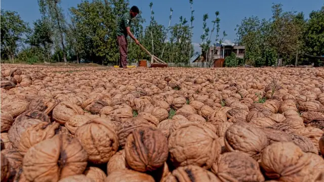 અખરોટનો ફોટોગ્રાફ