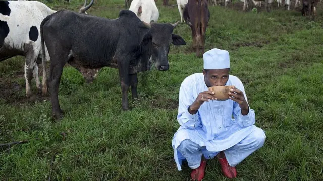 Les personnes qui boivent un litre de lait par jour peuvent présenter un risque accru de maladie cardiaque, mais cela pourrait être dû au fait qu'elles n'ont pas une alimentation saine dans l'ensemble