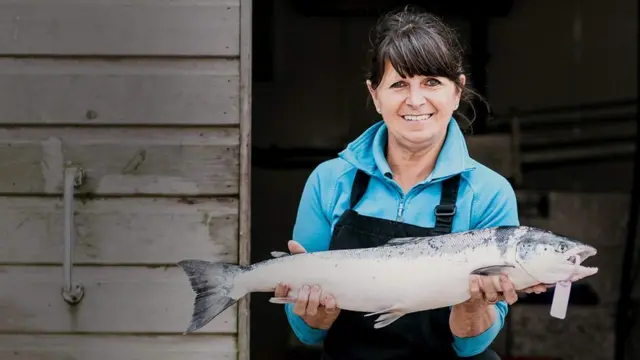 Angela Harrison waxa ay ka shaqaysaa kawaanka kalluunka