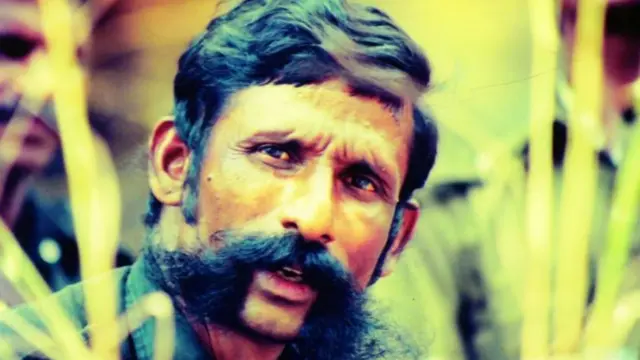 ऑपरेशन ककून 