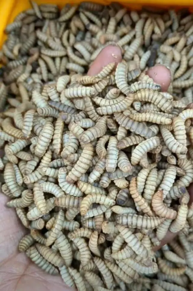 Malgré ses avantages, cette technologie présente certaines limites, principalement liées aux conditions de manipulation. 