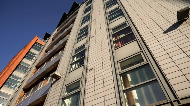 Revestimiento exterior de un edificio