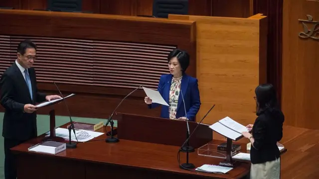 新民黨主席葉劉淑儀