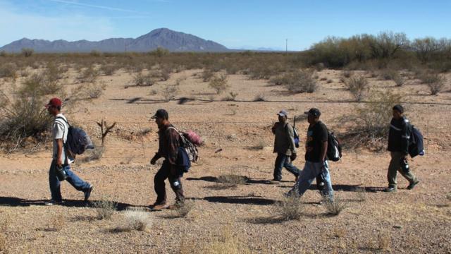 Migrantes caminan en el desierto