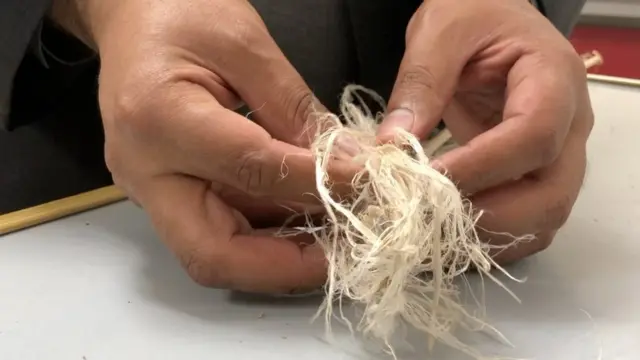 بھنگ کی جینز