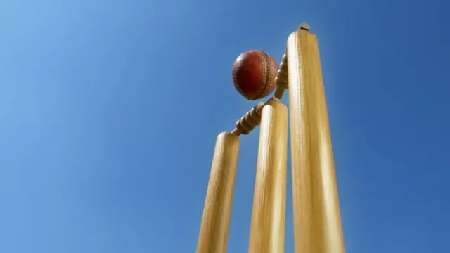 கிரிக்கெட்