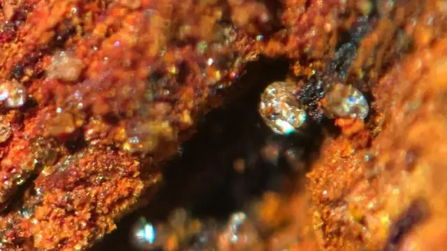 Rđa na delovima Titanika