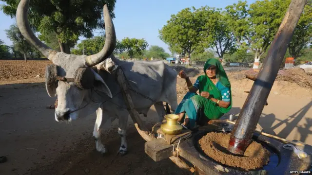 તેલી સમુદાયની તસવીર