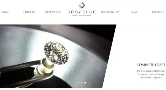 રોઝી બ્લૂ કંપનીનો ફોટો