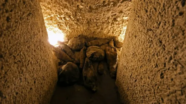 बाजहरूको ममी