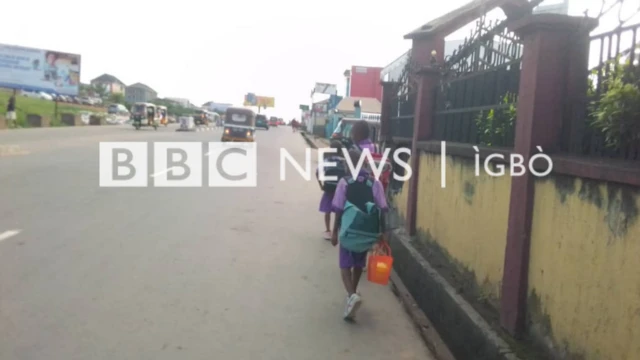 Ụmụahịa Abia Steeti