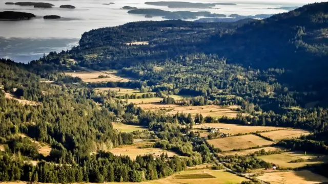 جزيرة "سولت سبرينغ"