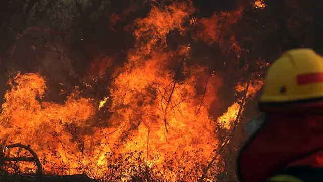 அமேசான் காட்டுத்தீ: என்ன நடக்கிறது அங்கே? நாம் ஏன் கவலைக் கொள்ள வேண்டும்?