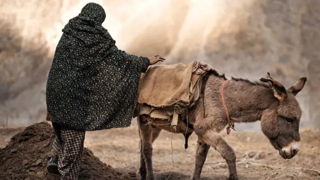 युद्धानंतरची स्थिती