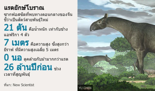 ดาต้าพิก