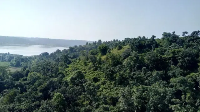 forest department of maharashtra