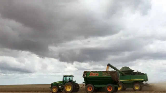 Plantação de grãos