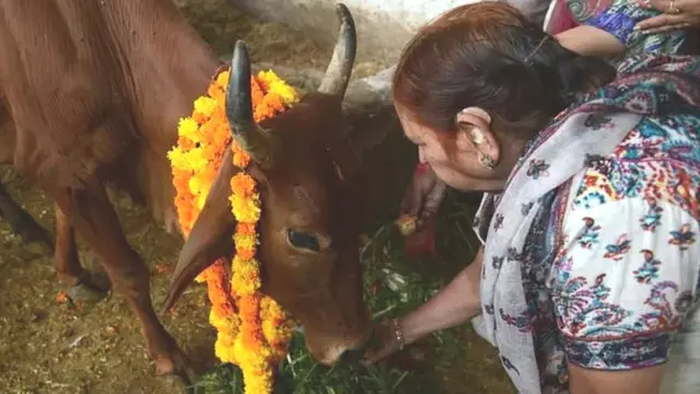 گوشت