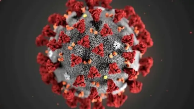 कोरोना सीरो सर्वेः क्या एंटीबॉडी बनने से संक्रमण नहीं होगा?