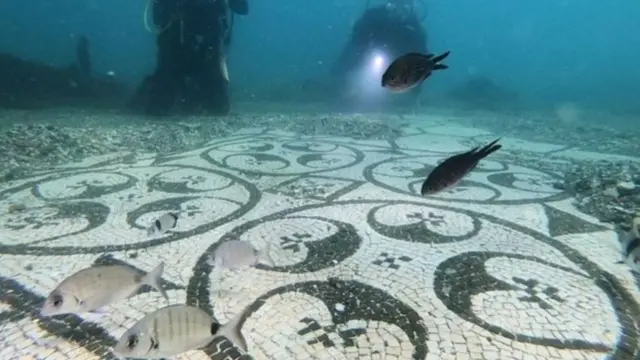 બાયા કૃતિઓને સમુદ્રના જીવોથી ખતરો છે જેના કારણે તે તૂટી શકે છે