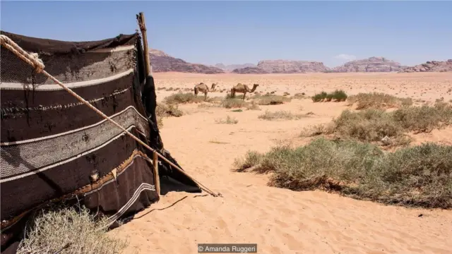 从一处传统的贝都因房屋看出去的景色，但这处房屋是暂时的：住在里面的这一家人每隔几个月就会带着帐篷般一次家。