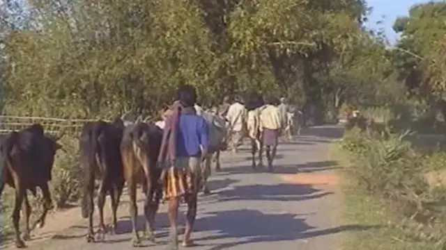 સીમા વિસ્તારનું એક દૃશ્ય (ફાઈલ ફોટો)