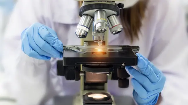 Les scientifiques espagnols à l'origine de cette découverte estiment que des recherches supplémentaires doivent être menées pour déterminer le potentiel réel de la salive des vers contre le plastique.