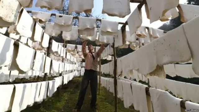 उत्तर भारतीय