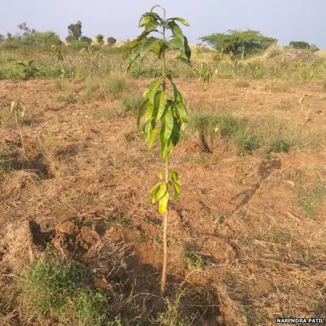 जमीन संपादनानंतर धर्मा पाटील भूमिहीन झाले आहेत.