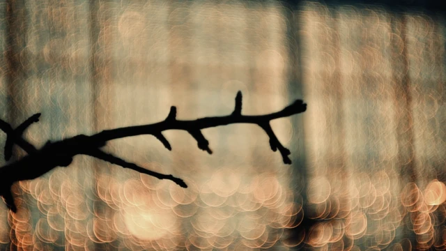 кадр из фильма