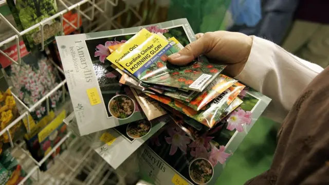 เมล็ดพันธุ์บรรจุซอง