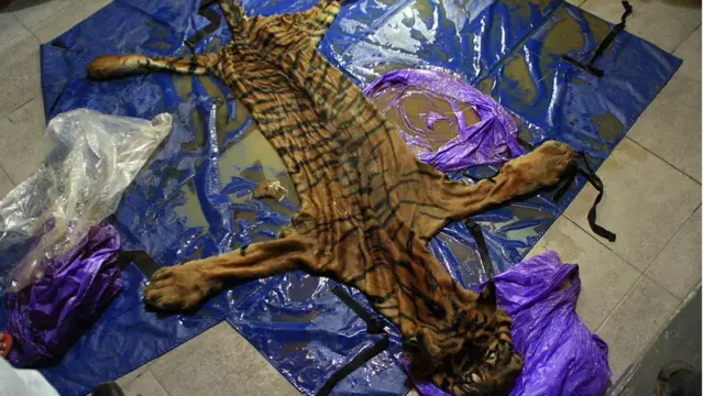 বাঘের চামড়া।