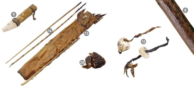 ओएट्ज़ी केस