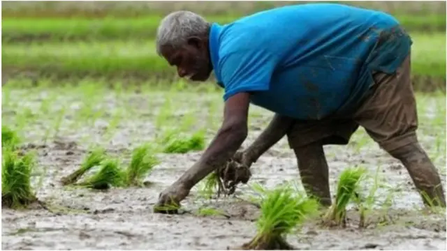 පානීය ජල ව්‍යාපෘතීන් නිසා ගොවිතැනට ජලය හිඟවනු ඇතැයි ගොවි ජනයා මැසිවිලි පළ කරති