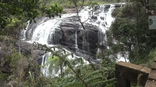 හෝටන් තැන්න