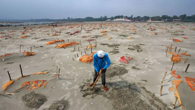 এলাহাবাদের কাছে শ্রিংভেরপুর গ্রামে গঙ্গার তীরে সারি সারি কবর।