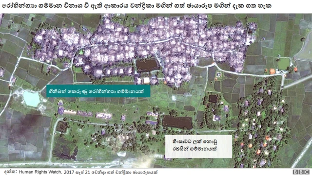 රෝහින්ග්‍යා