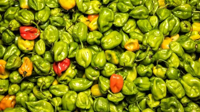 મરચાની તસવીર