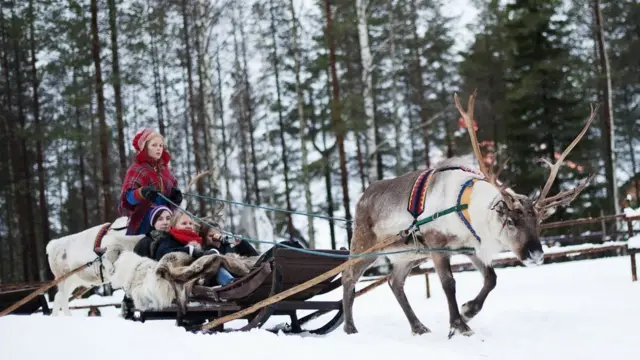 Mujer de Laponia paseando a turistas en un carro tirado por un reno.