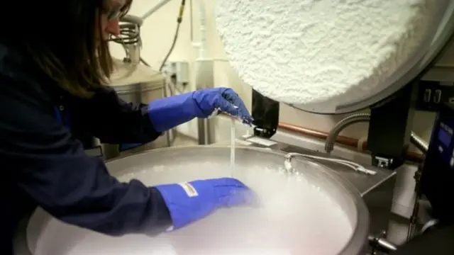 የወንድ የዘር ፍሬ