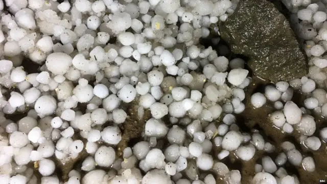 ਚੰਡੀਗੜ੍ਹ ਵਿੱਚ ਗੜ੍ਹੇਮਾਰੀ