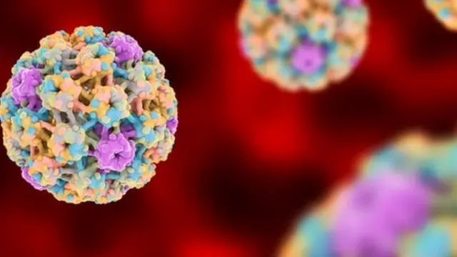 Kansar bakin mahaifa