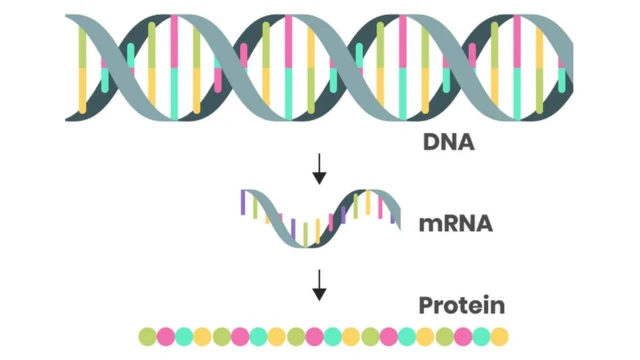ALKOV / GETTY IMAGES
