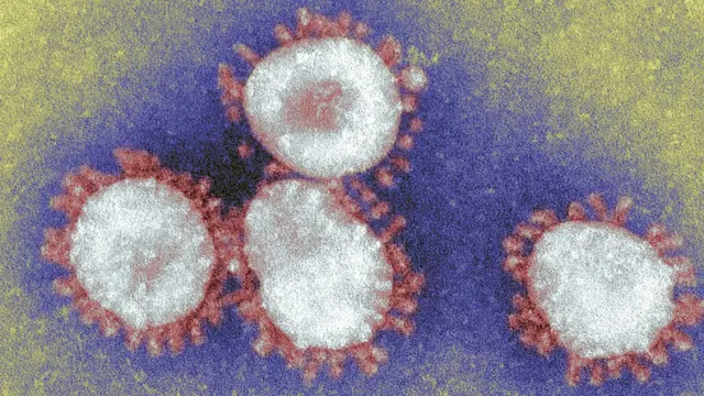 Coronavirus