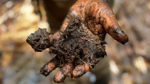 پیٹ نامی مادہ