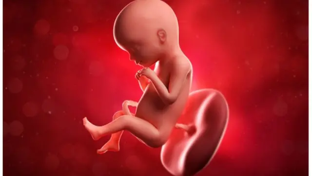 Science Photo Library - SCIEPRO