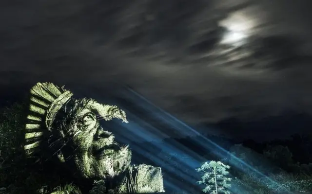 A man's face is projected onto the Brazilian rainforest canopy
