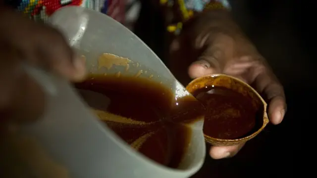 Ayahuasca