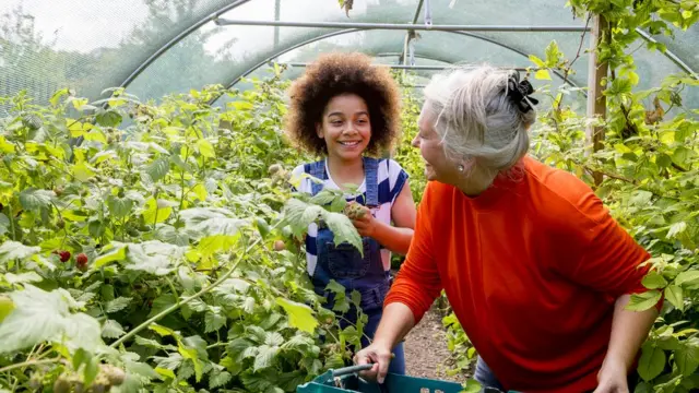 Пожилая женщина с ребенком в теплице