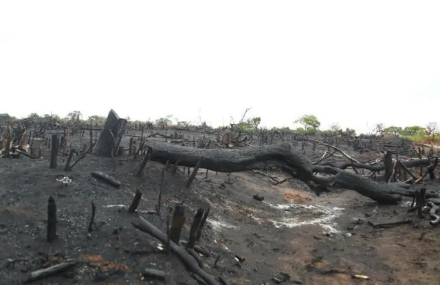 වනාතවිල්ලුවේ වන විනාශය